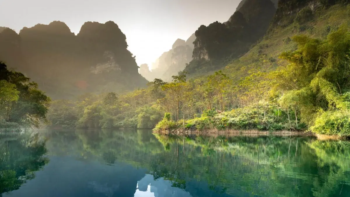 智慧智能智能